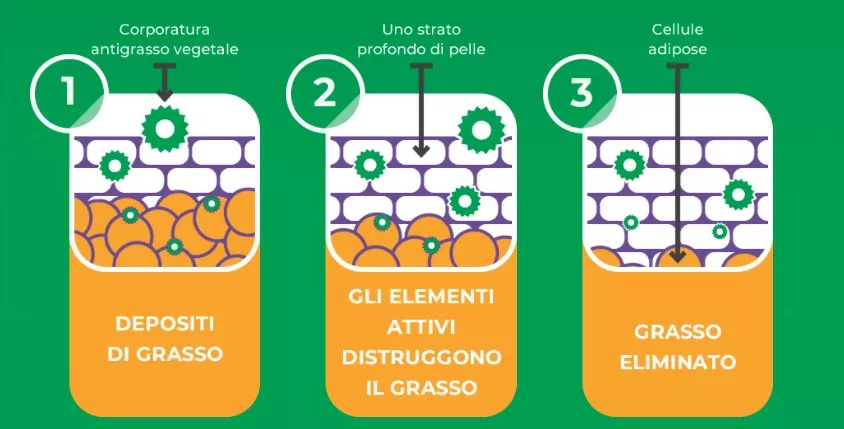 DETO PATCH 3×1 Cerotti per eliminare tossine